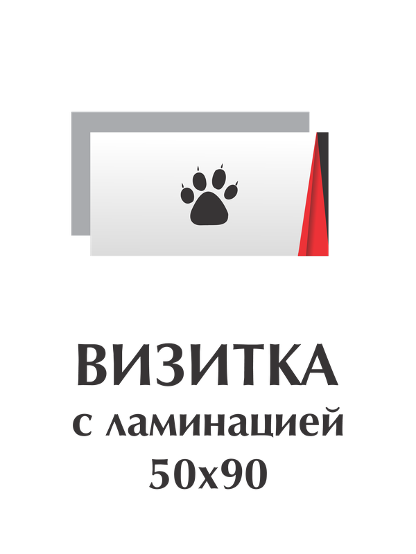 Визитки