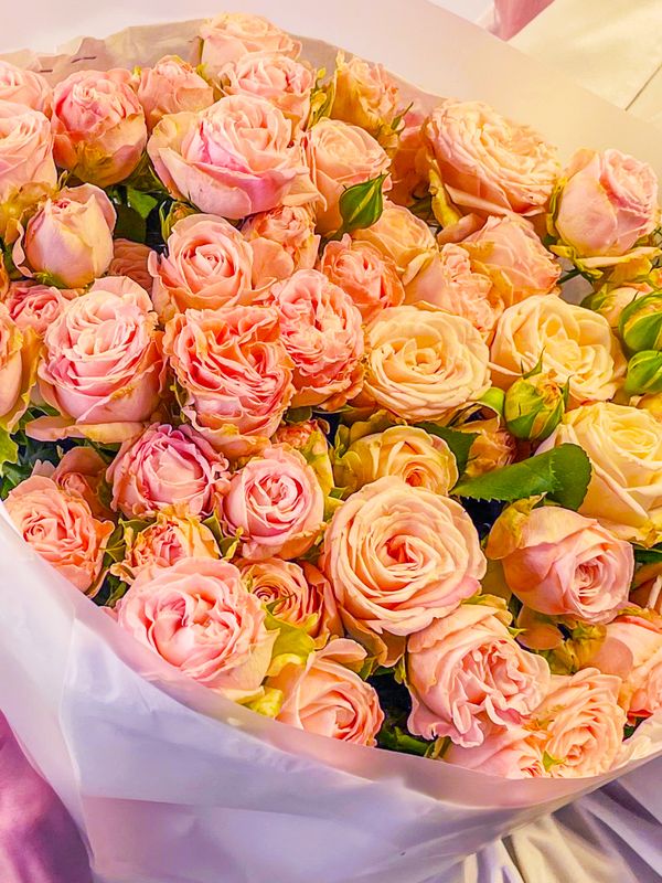10 spray roses Madam Bombastic