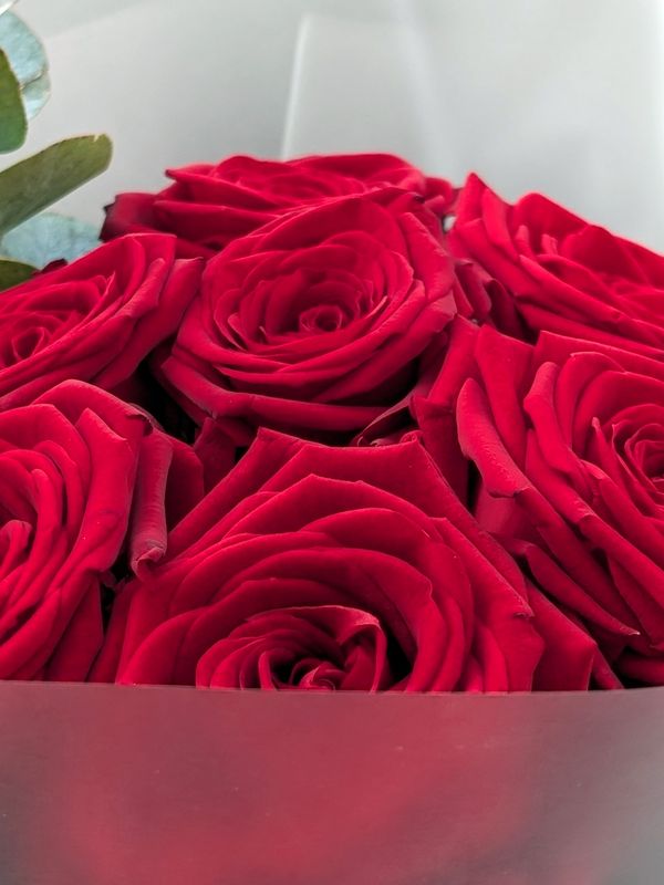 7 red roses