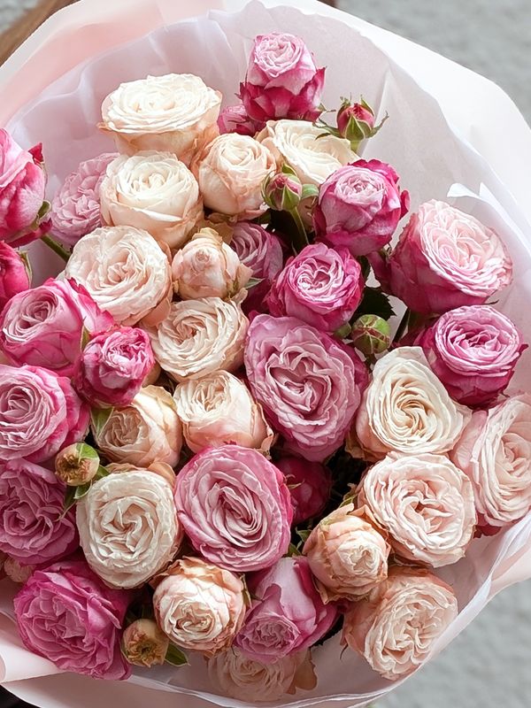 A bouquet of spray roses Bombastiki