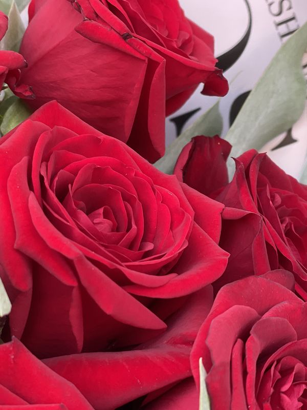 11 red roses