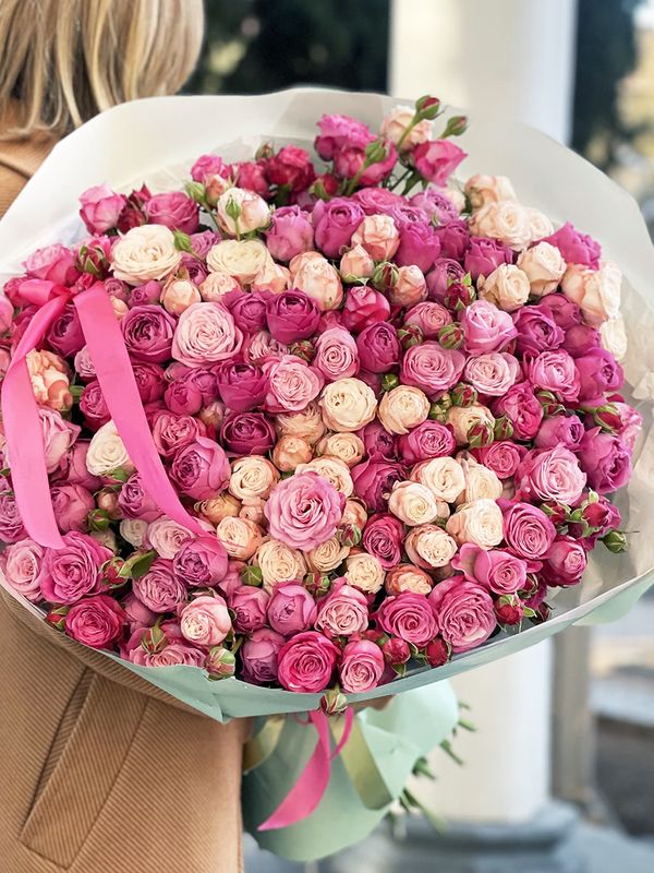 Pink sea Spray Pink Roses