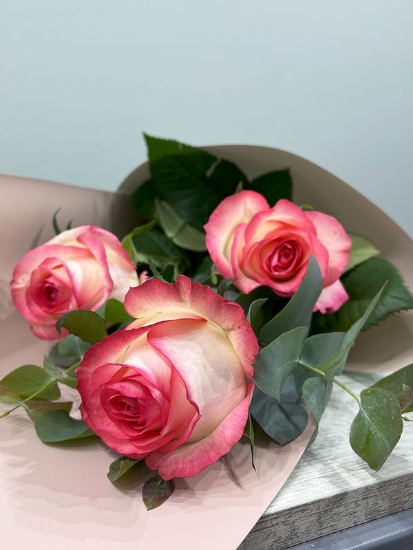 3 roses Jumelia