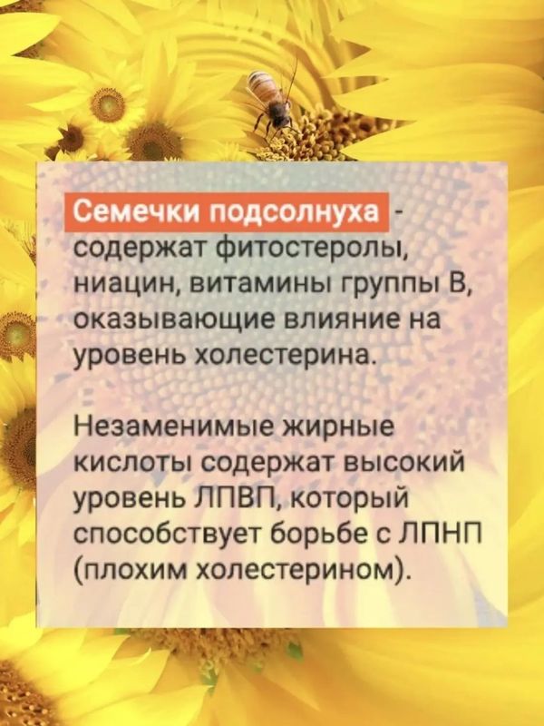 Конфеты Козинаки в шоколаде, 1кг
