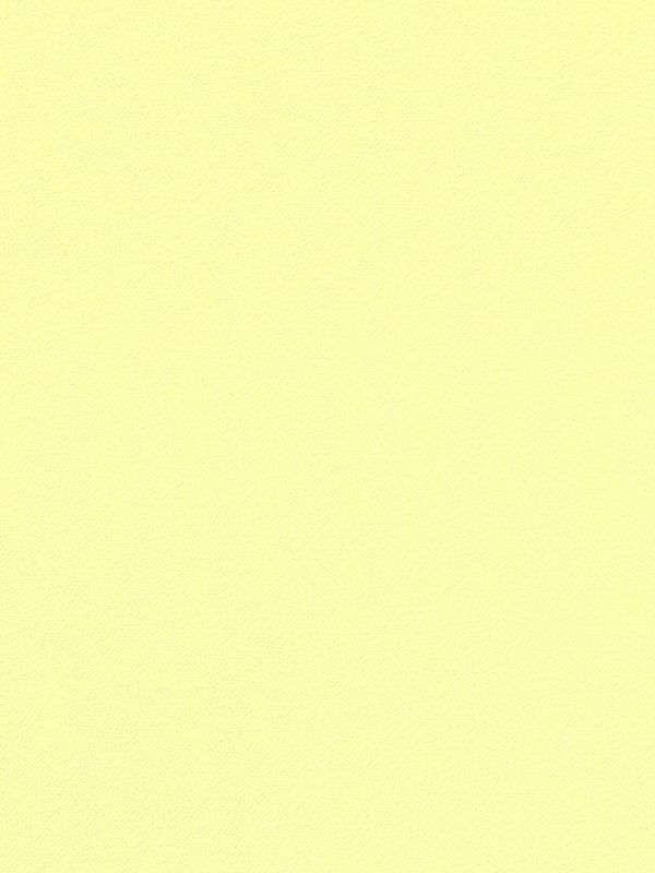 Обои метровые виниловые на флизелиновой основе Erismann Papaya 60442-08 1,06х10,0