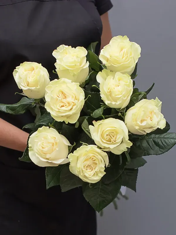 Букет из 9 белых роз (80-90 см)