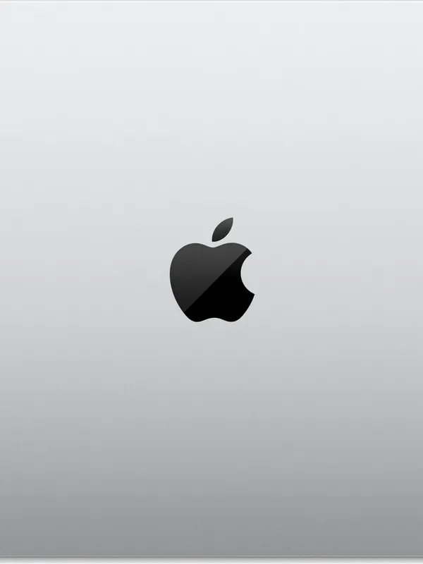 Ноутбук Apple MacBook Pro 14" (2026) (M5 Pro 18C CPU, 20C GPU) 24 ГБ, 2 Тб SSD, серебристый MGDP4