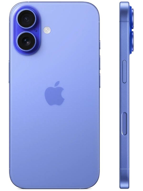 iPhone 16 Plus 256 ГБ, голубой