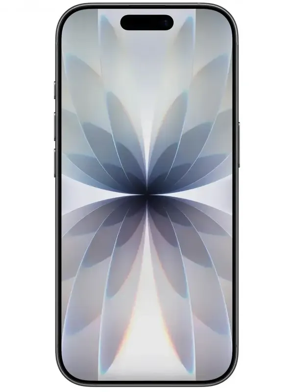iPhone 17 eSIM 256 ГБ, Black (черный)