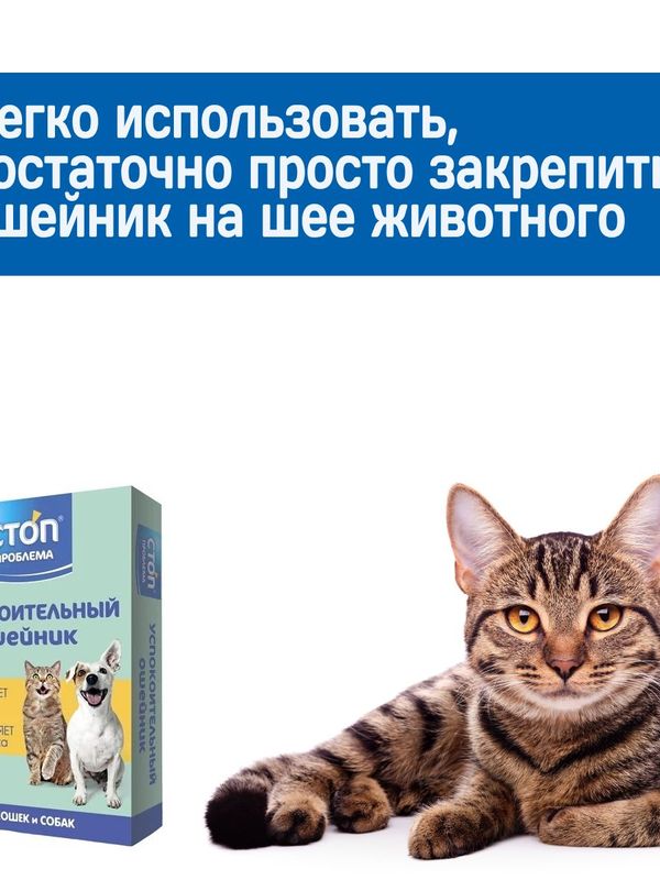 Успокоительный ошейник Стоп Проблема для кошек и собак мелких пород, 40см