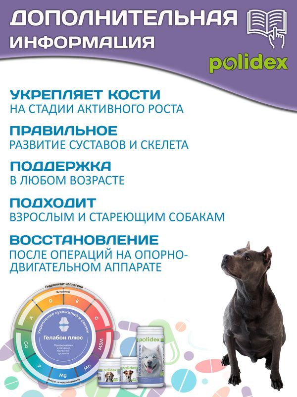 Polidex Gelabon Plus кормовая добавка для собак и щенков Профилактика заболеваний опорно-двигательного аппарата Полидекс Гелабон Плюс, 60таб