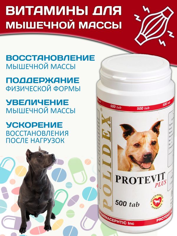 Polidex Protevit Plus для собак кормовая добавка для увеличения мышечной массы, Полидек Протевит Плюс, 500 таб