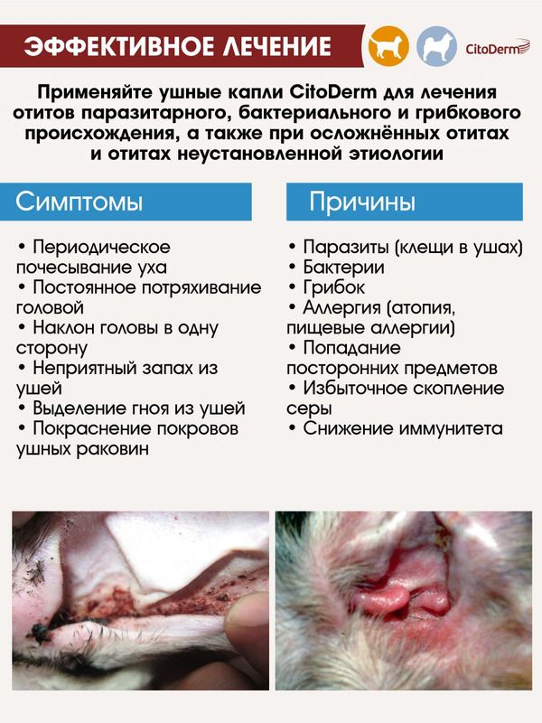 Цитодерм Капли ушные комплексные флакон, 10 мл