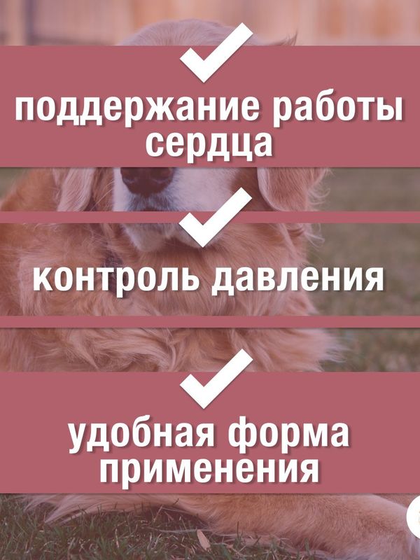 Таблетки от заболевания сердца Пчелодар Зоокард для средних собак Рамиплин 2,4 мг 20 таблеток с пчелиным маточным молочком