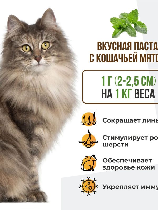 Витамины для кошек паста Unitabs BiotinPlus для шерсти 120 мл