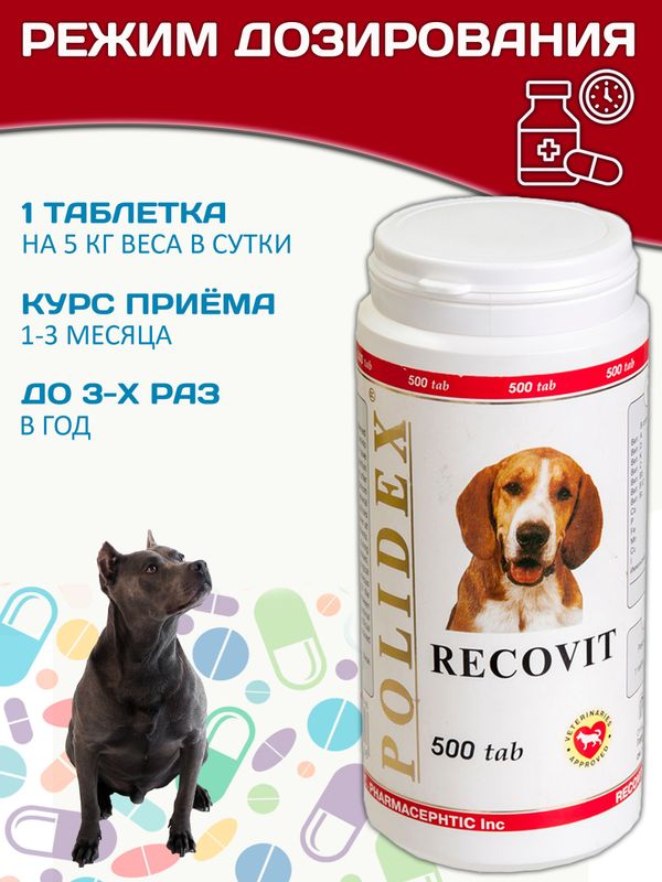 Polidex Recovit кормовая добавка для восстановления организма собак после укуса клеща, операций, травм, потерь крови Полидекс Рековит,500таб