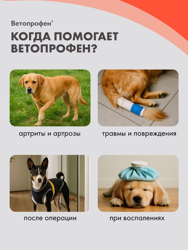 Ветопрофен нестероидный противовоспалительный препарат для средних и крупных собак на основе кетопрофена (Neoterica),10 таб Кетопрофен