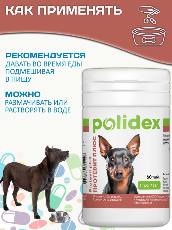 Polidex Protevit Plus для собак кормовая добавка для увеличения мышечной массы, Полидек Протевит Плюс, 60 таб
