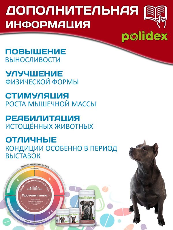 Polidex Protevit Plus для собак кормовая добавка для увеличения мышечной массы, Полидек Протевит Плюс, 500 таб