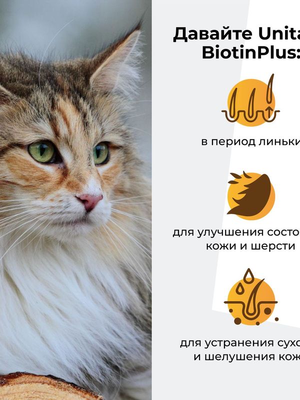 Витамины для кошек паста Unitabs BiotinPlus для шерсти 120 мл