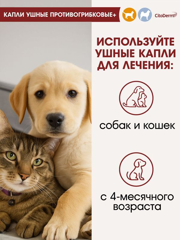 Капли ушные CitoDerm противогрибковые для кошек и собак 10 мл