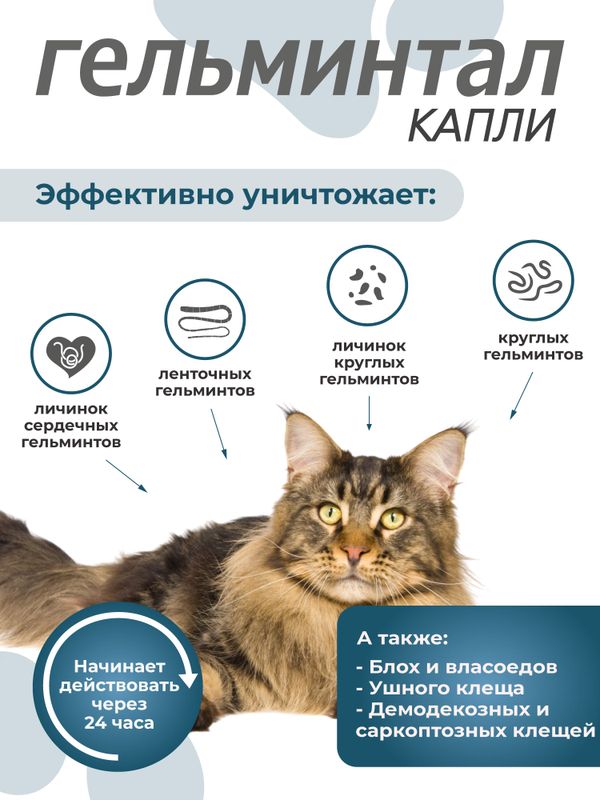 Капли на холку от блох, клещей и гельминтов для кошек 4-10 кг Гельминтал К SPOT-ON (Neoterica), 3 пипетки Моксидектин/Празиквантел