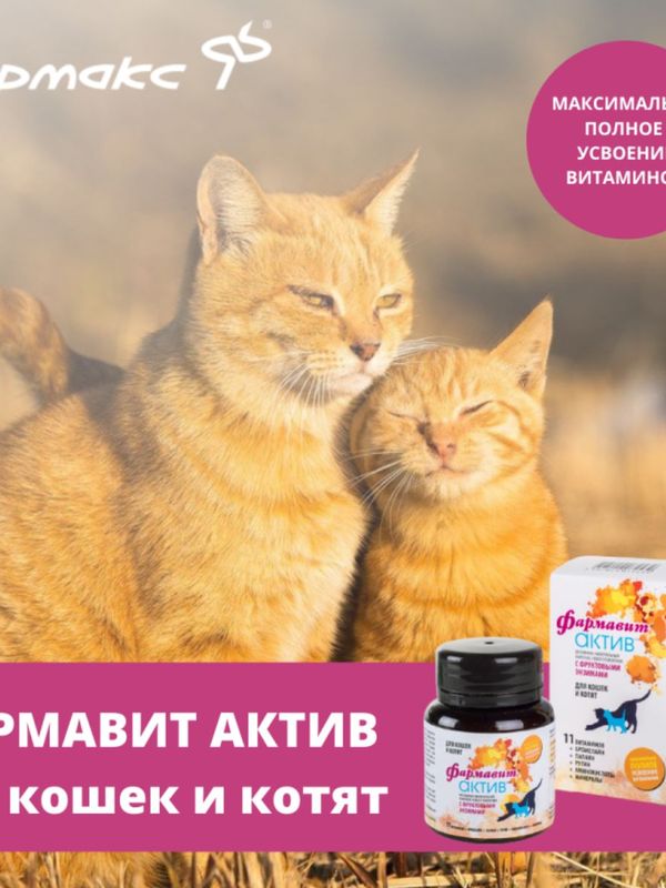 Фармавит Актив витамины для кошек и котят,60таблеток