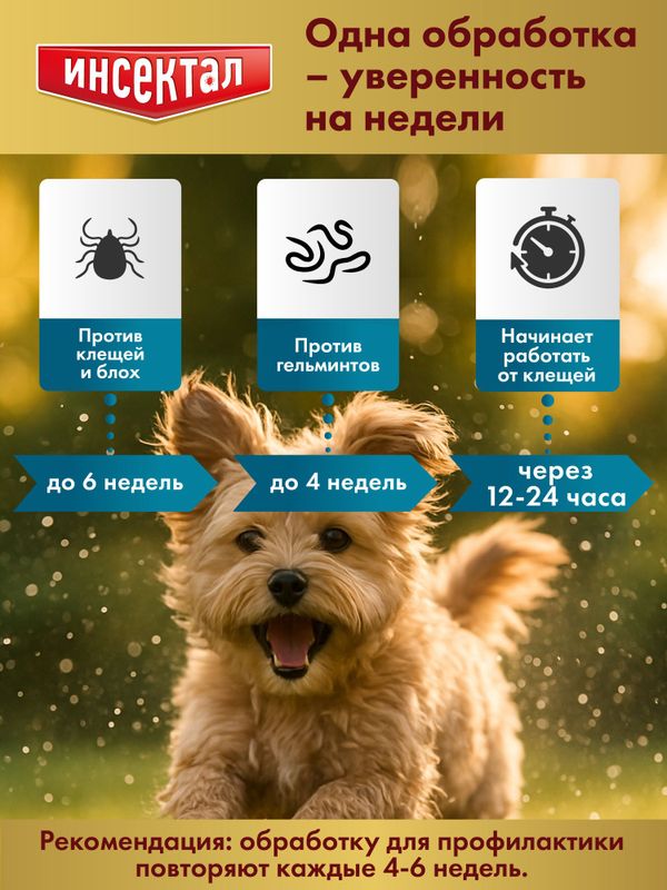 Капли на холку от клещей, блох и гельминтов для собак от 4-10 кг Инсектал комбо С (Neoterica), 3 пипетки Фипронил/Моксидектин