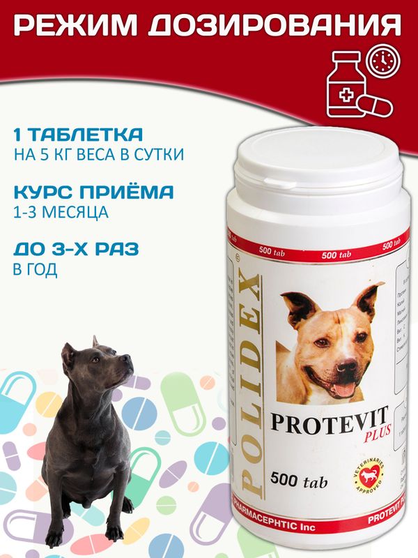 Polidex Protevit Plus для собак кормовая добавка для увеличения мышечной массы, Полидек Протевит Плюс, 500 таб