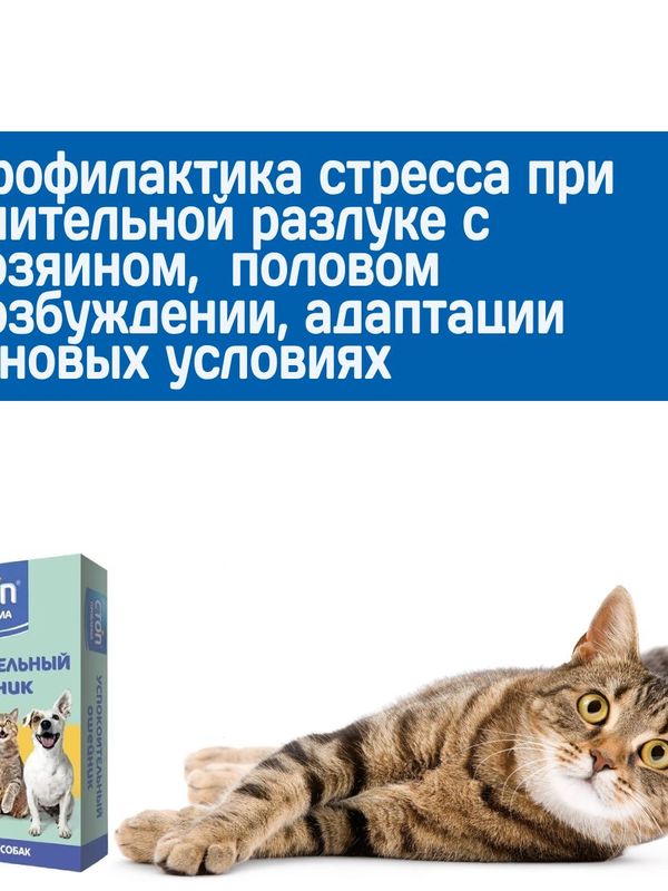 Успокоительный ошейник Стоп Проблема для кошек и собак мелких пород, 40см