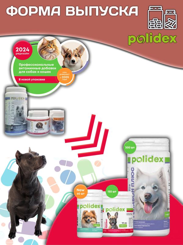 Polidex Protevit Plus для собак Кормовая добавка для увеличения мышечной массы, Полидек Протевит Плюс, 150 таб