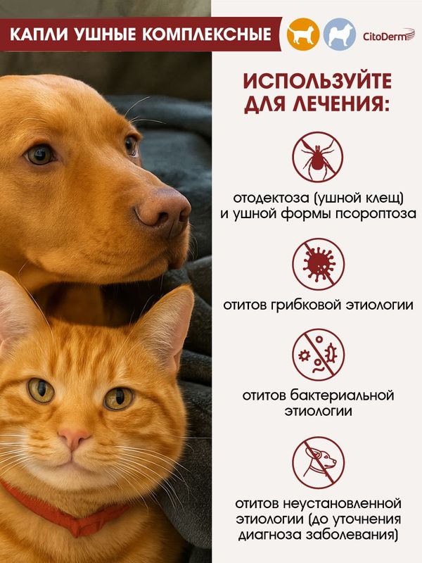 Цитодерм Капли ушные комплексные флакон, 10 мл