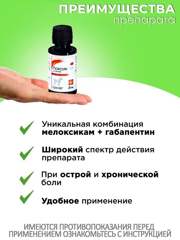 ЛоксикVet противовоспалительная, жаропонижающая и обезболивающая суспензия 2 мг, 25 мл