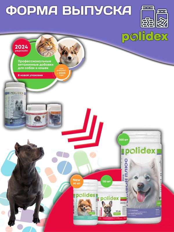 Polidex Gelabon Plus кормовая добавка для собак и щенков Профилактика заболеваний опорно-двигательного аппарата Полидекс Гелабон Плюс, 150таб