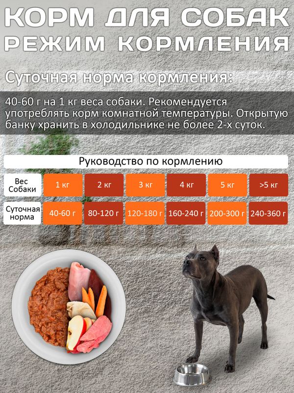 Lucky bits Holistic полнорационный консервированный влажный корм для собак всех пород с индейкой, яблоком и морковью,970г