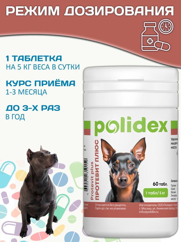 Polidex Protevit Plus для собак кормовая добавка для увеличения мышечной массы, Полидек Протевит Плюс, 60 таб