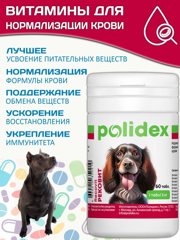 Polidex Recovit кормовая добавка для восстановления организма собак после укуса клеща, операций, травм, потерь крови Полидекс Рековит, 60 таб