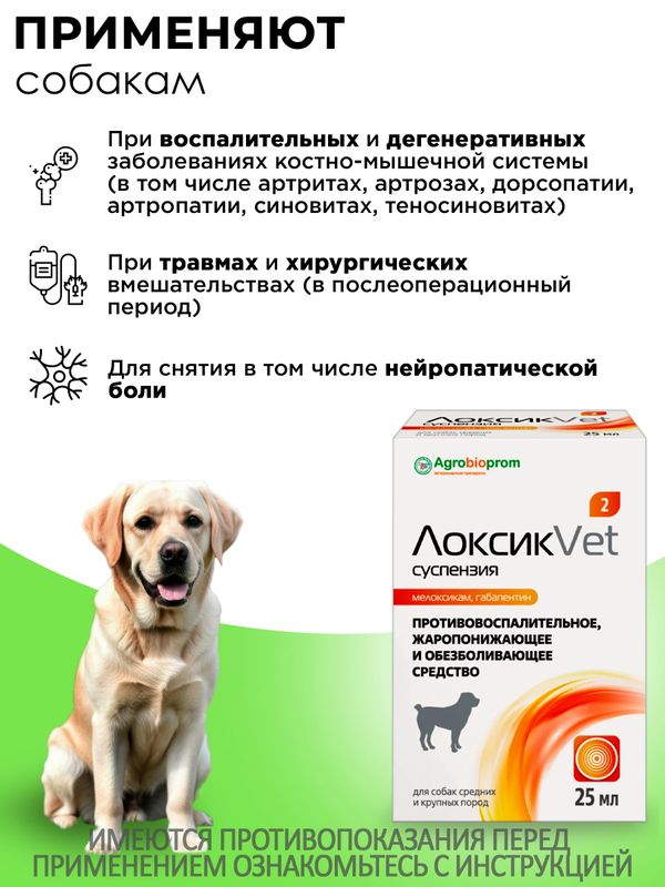 ЛоксикVet противовоспалительная, жаропонижающая и обезболивающая суспензия 2 мг, 25 мл