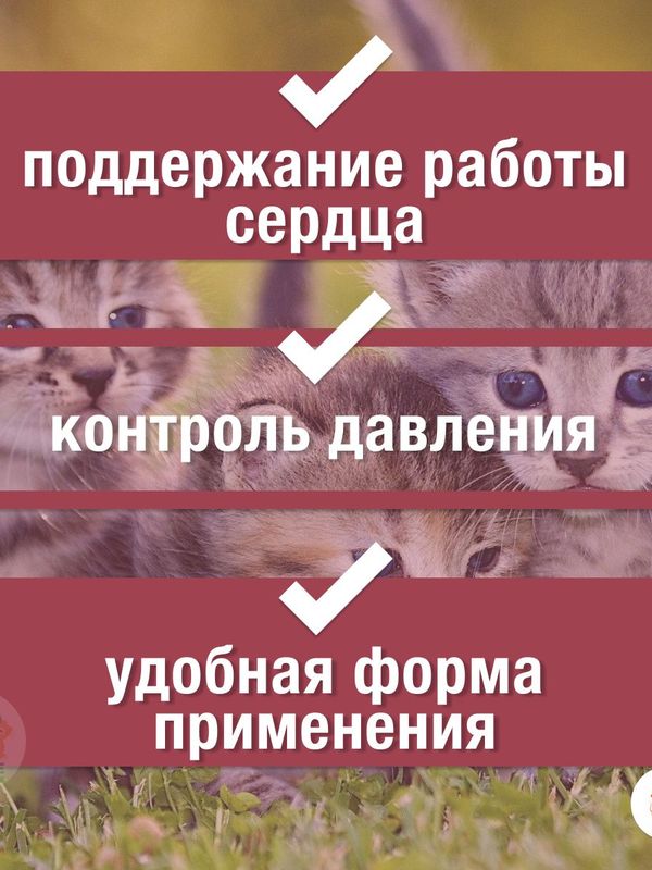 Таблетки от заболевания сердца Пчелодар Зоокард для кошек Рамиплин 1,2 мг 10таблеток с пчелиным маточным молочком