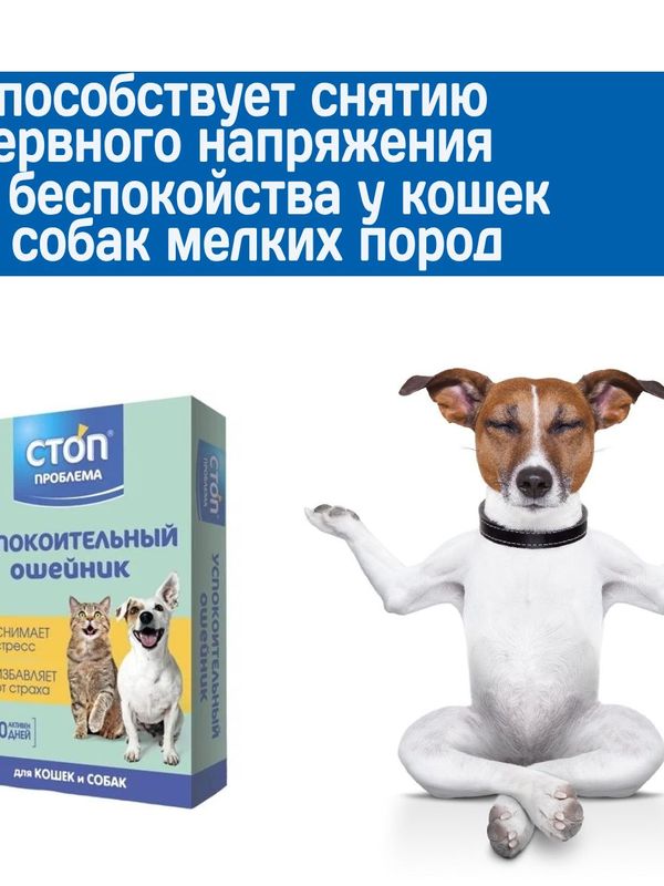 Успокоительный ошейник Стоп Проблема для кошек и собак мелких пород, 40см