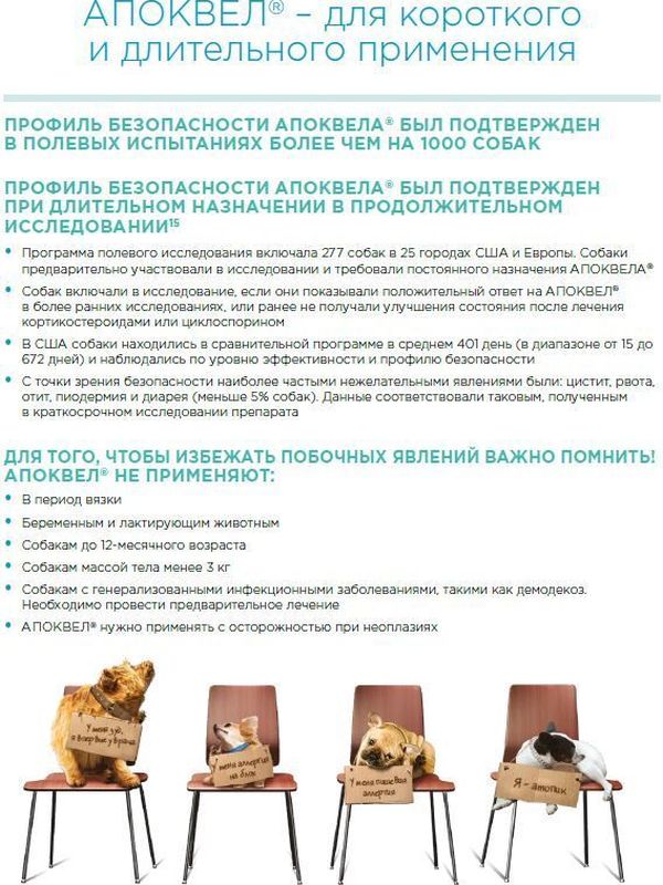 Таблетки от аллергии у собак Zoetis Апоквел 16мг, 100 таблеток