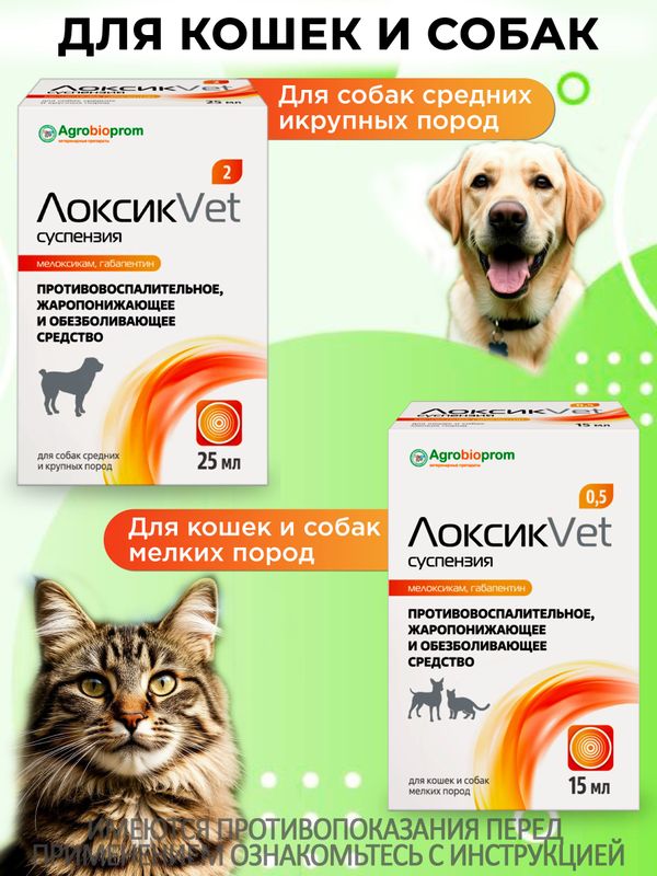 ЛоксикVet противовоспалительная, жаропонижающая и обезболивающая суспензия 2 мг, 25 мл