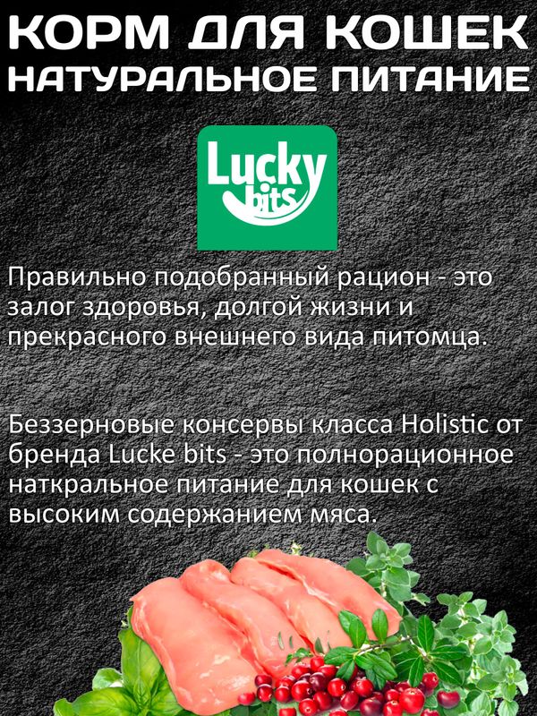 Lucky bits Holistic беззерновой полнорационный консервированный корм для кошек старше 3 месяцев филе кролика с клюквой,100г