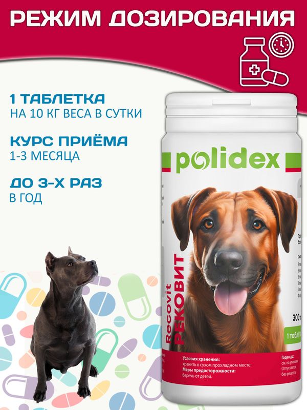 Polidex Recovit кормовая добавка для восстановления организма собак после укуса клеща, операций, травм, потерь крови Полидекс Рековит,300таб