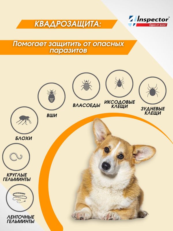 Капли от клещей блох глистов для собак Inspector Quadro до 4 кг, 3 пипетки