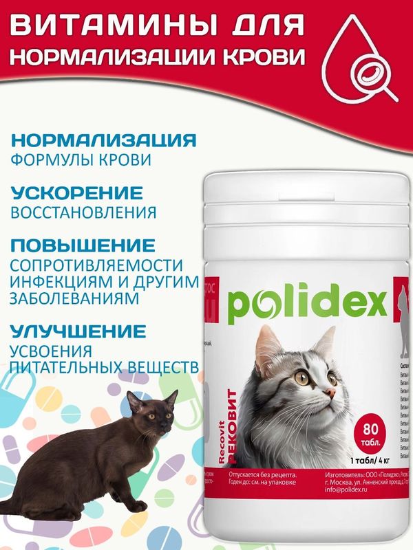 Polidex Recovit для кошек кормовая добавка для восстановления организма после операций, травм, больших потерь крови, Полидекс Рековит, 80 таб