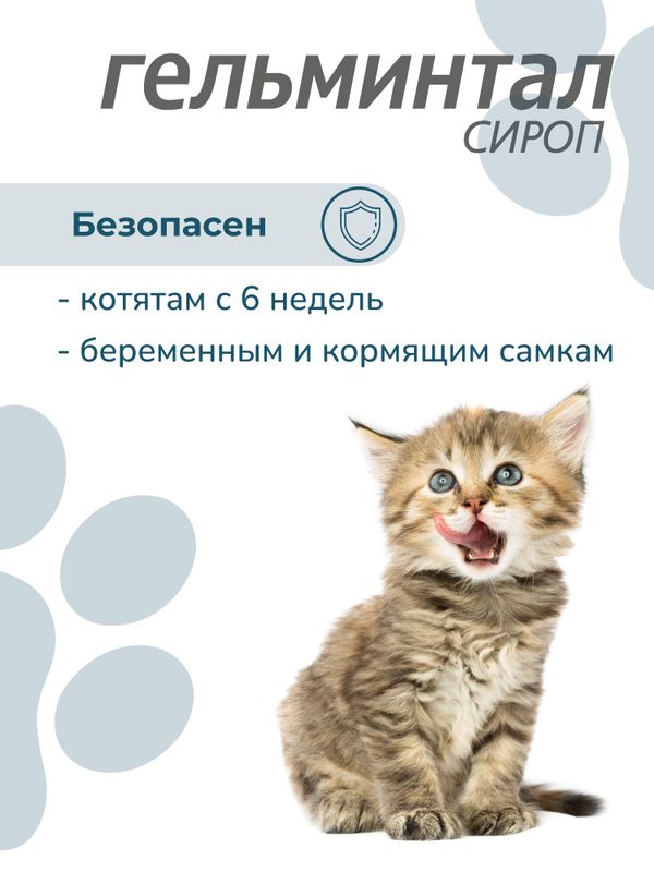 Сироп от гельминтов, профилактика дирофиляриоза для кошек менее 4 кг Гельминтал (Neoterica), 5мл. Празиквантел/ Моксидектин