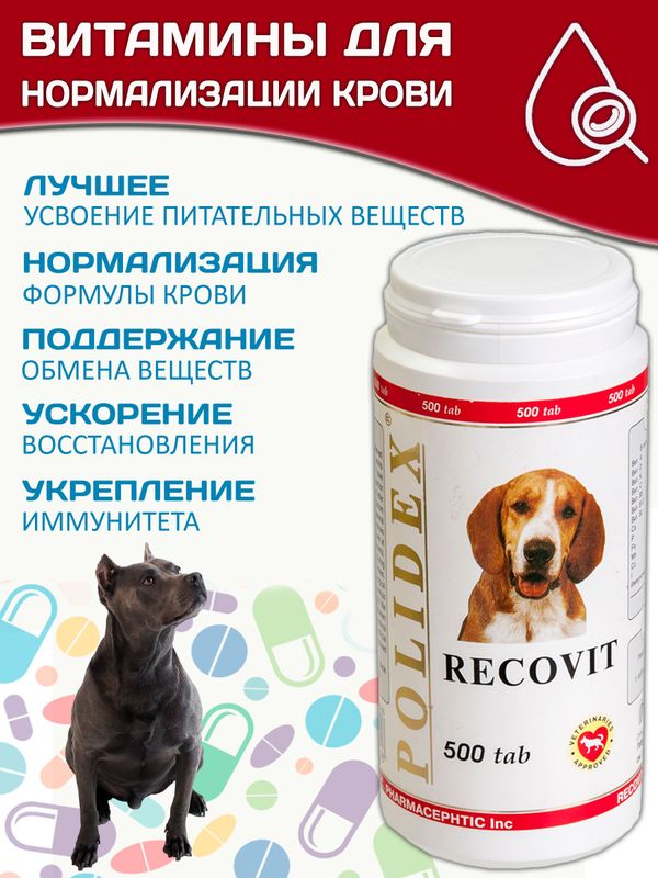 Polidex Recovit кормовая добавка для восстановления организма собак после укуса клеща, операций, травм, потерь крови Полидекс Рековит,500таб