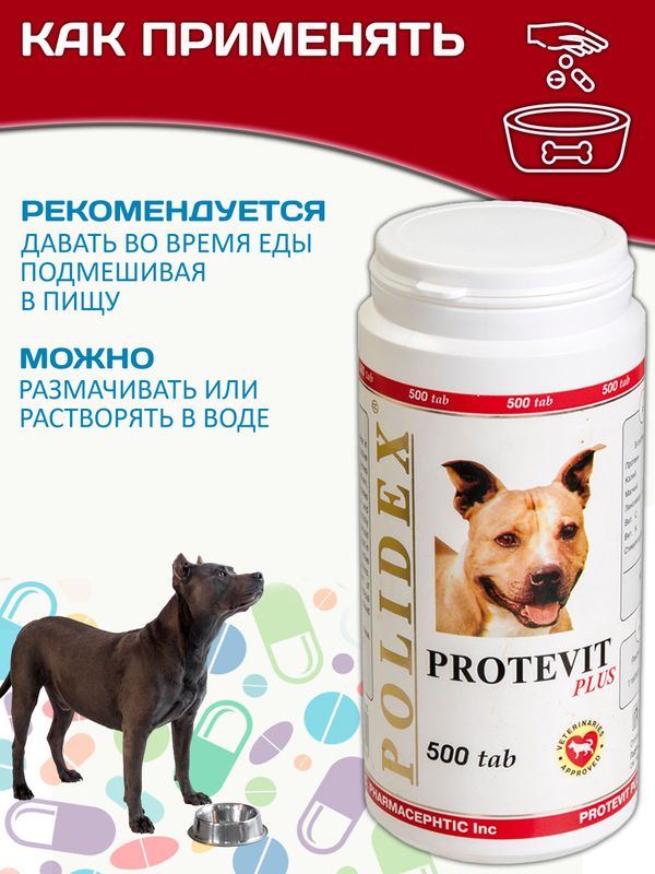 Polidex Protevit Plus для собак кормовая добавка для увеличения мышечной массы, Полидек Протевит Плюс, 500 таб