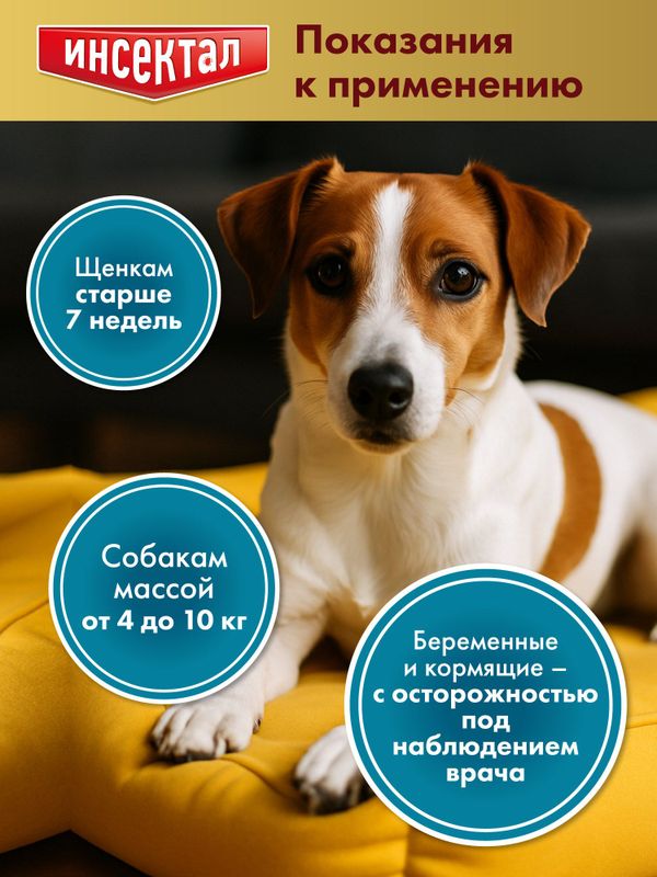Капли на холку от клещей, блох и гельминтов для собак от 4-10 кг Инсектал комбо С (Neoterica), 3 пипетки Фипронил/Моксидектин